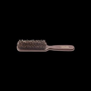 Brosse coiffage sanglier 6 rangs