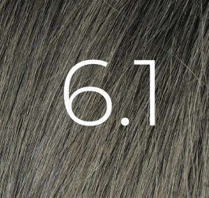 6.1VERT coloration 100 ml