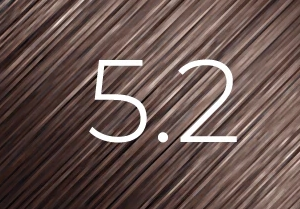 BBHair shine 60 ml n° 5.2