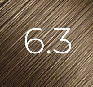 BBHair shine 60 ml n° 6.3