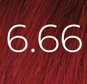 6.66VERT coloration 100 ml