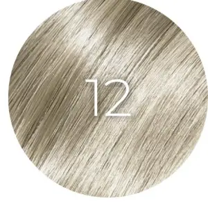 12 BB