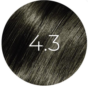 4.3 BB