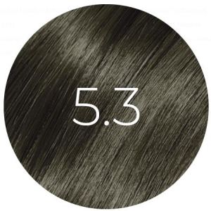 5.3 BB