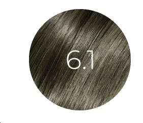 6.1 BB